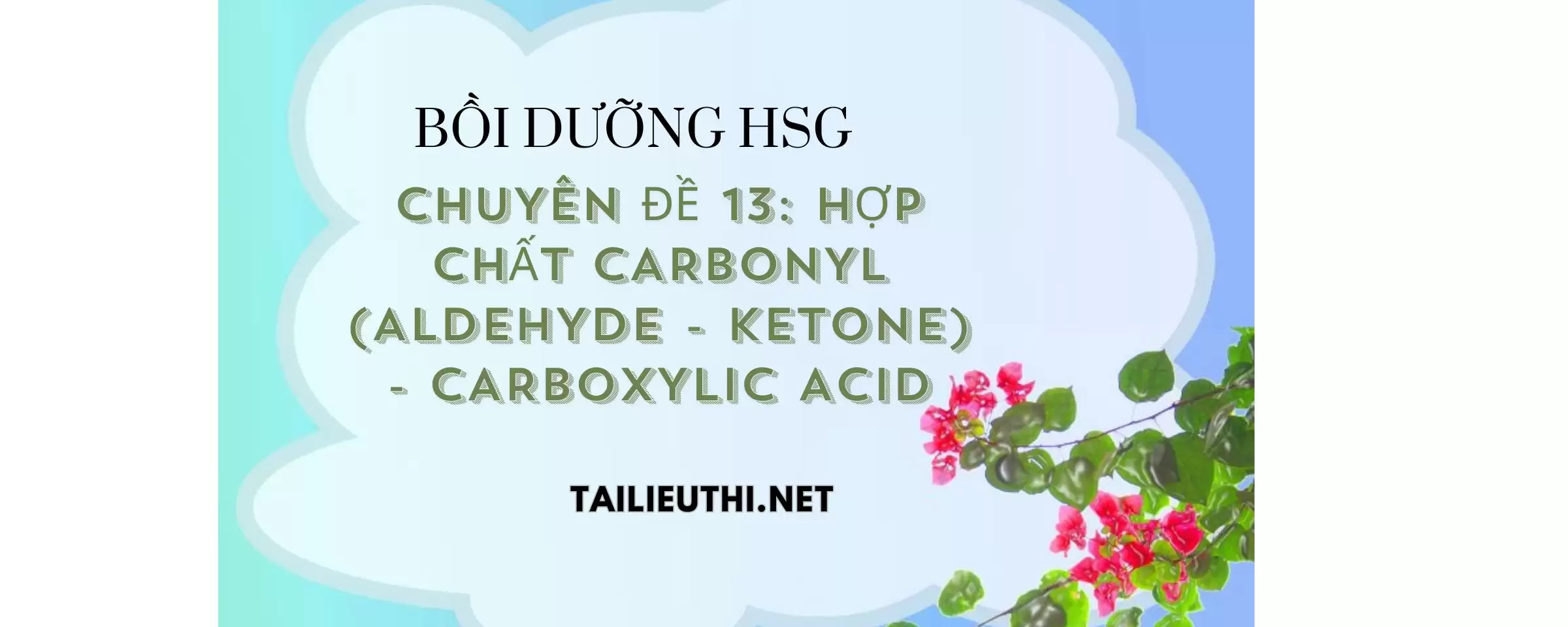 Chuyên đề bồi dưỡng học sinh giỏi: Chuyên đề 13 - : HỢP CHẤT CARBONYL  - CARBOXYLIC ACID