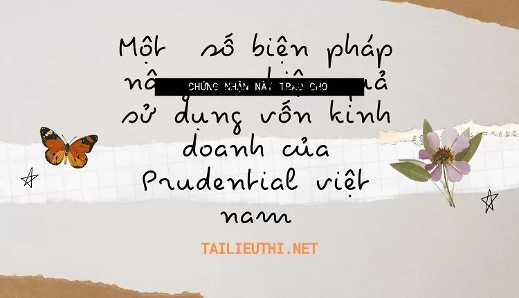 Một  số biện pháp nâng cao hiệu quả sử dụng vốn kinh doanh của Prudential việt nam