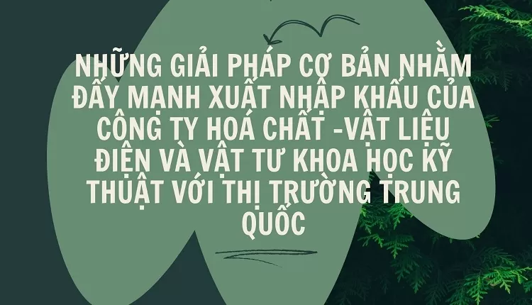 Đẩy mạnh xuất nhập khẩu của Công ty Hoá chất -Vật liệu điện và Vật tư KHKT với thị trường Trung quốc