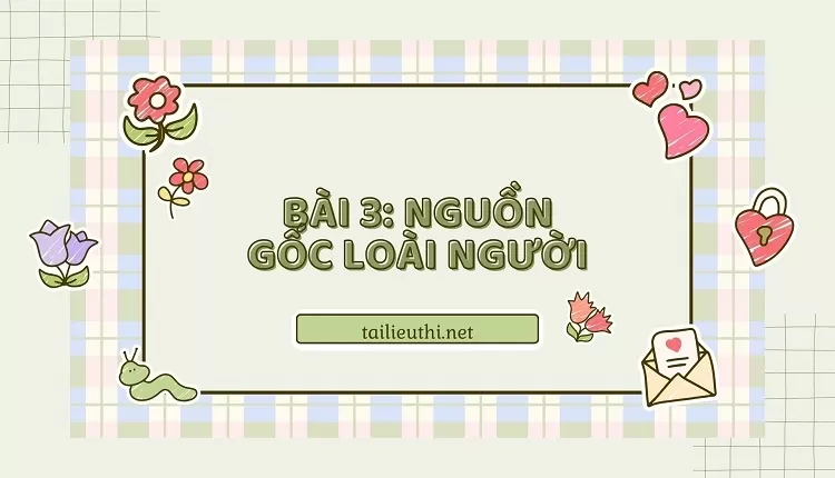 đề cương ôn tập lịch sử lớp 6 -BÀI 3: NGUỒN GỐC LOÀI NGƯỜI