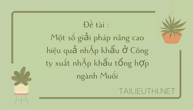 giải pháp nâng cao hiệu quả nhập khẩu ở Công ty xuất nhập khẩu tổng hợp ngành Muối