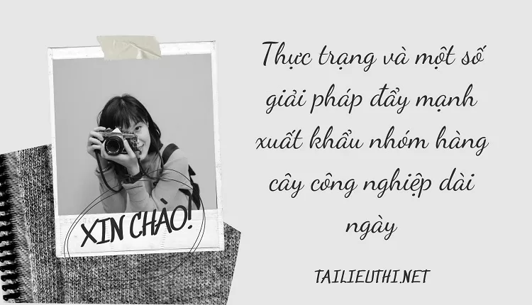 Thực trạng và một số giải pháp đẩy mạnh xuất khẩu nhóm hàng cây công nghiệp dài ngày