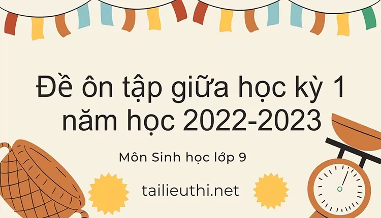 Đề ôn tập giữa học kỳ 1 Môn Sinh học lớp 9