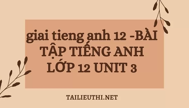 BÀI TẬP TIẾNG ANH LỚP 12 UNIT 3