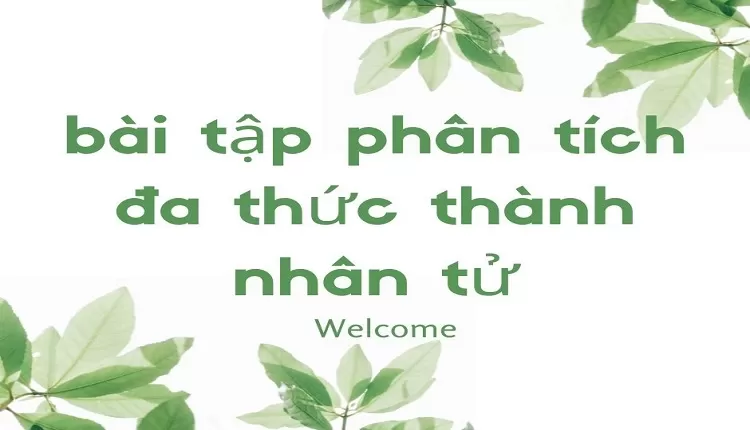 bài tập phân tích đa thức thành nhân tử