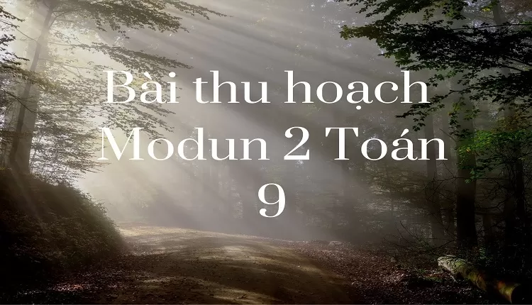 Bài thu hoạch Module 2 Toán   9