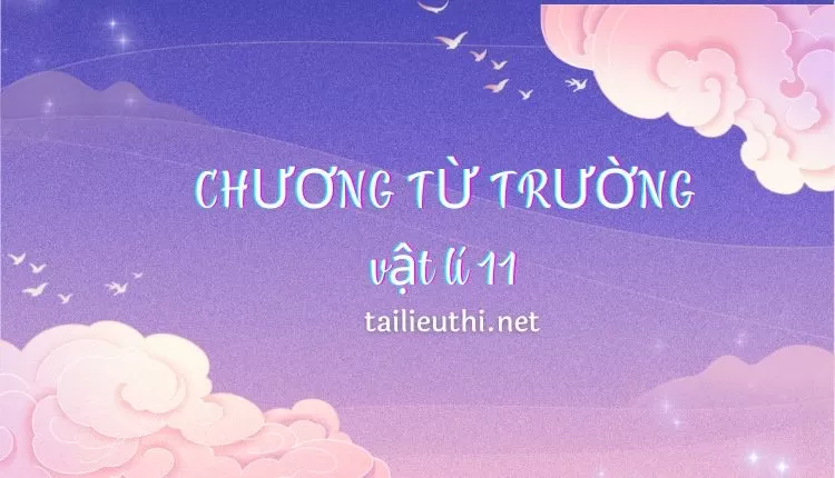 CHƯƠNG  TỪ TRƯỜNG (đa dạng và chi tiết )...