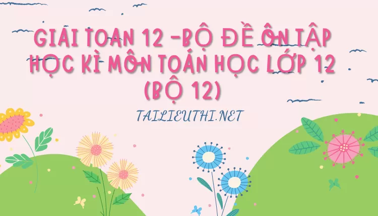 BỘ ĐỀ ÔN TẬP HỌC KÌ MÔN TOÁN HỌC LỚP 12 (BỘ 12)