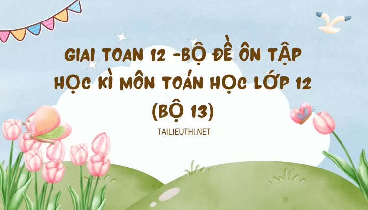 BỘ ĐỀ ÔN TẬP HỌC KÌ MÔN TOÁN HỌC LỚP 12 (BỘ 13)