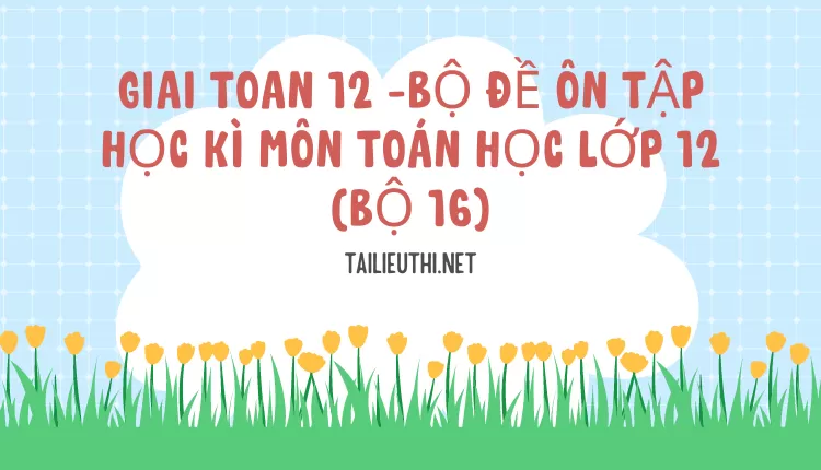 BỘ ĐỀ ÔN TẬP HỌC KÌ MÔN TOÁN HỌC LỚP 12 (BỘ 16)