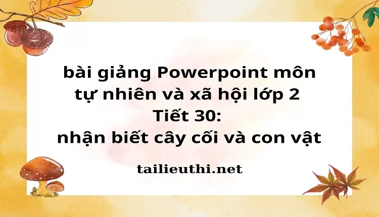 Tiết 30: nhận biết cây cối và con vật