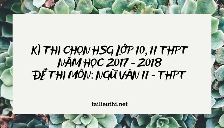 KÌ THI CHỌN HSG LỚP 10, 11 THPT NĂM HỌC 2017 - 2018 ĐỀ THI MÔN: NGỮ VĂN 11 - THPT