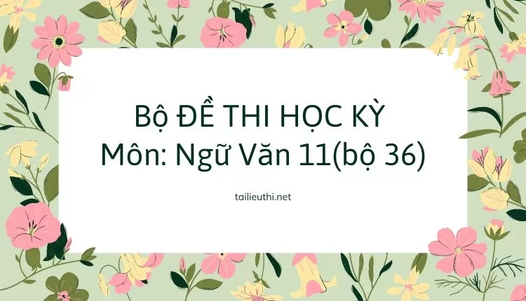 Bộ ĐỀ THI HỌC KỲ  Môn: Ngữ Văn 11(bộ 36)  ( đa dạng và chi tiết )...