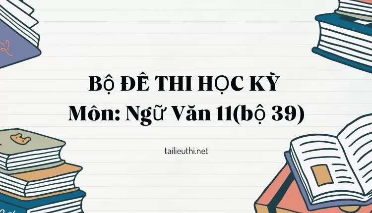 Bộ ĐỀ THI HỌC KỲ  Môn: Ngữ Văn 11(bộ 39) ( đa dạng và chi tiết )...