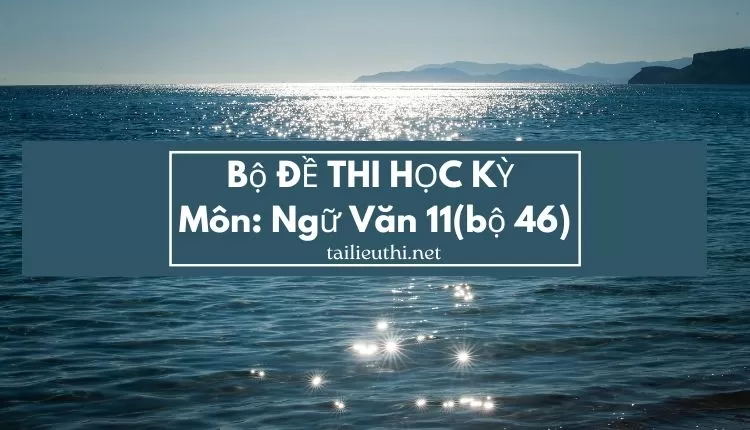 Bộ ĐỀ THI HỌC KỲ  Môn: Ngữ Văn 11(bộ 46)  ( đa dạng và chi tiết )...