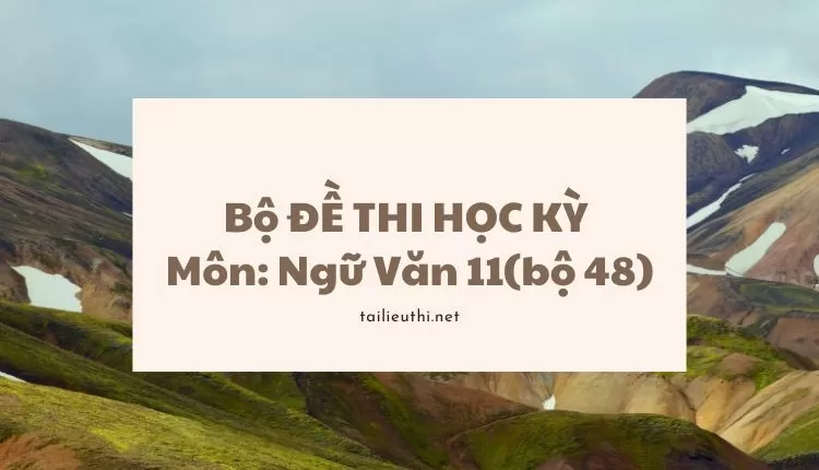 Bộ ĐỀ THI HỌC KỲ  Môn: Ngữ Văn 11(bộ 48) ( đa dạng và chi tiết )...