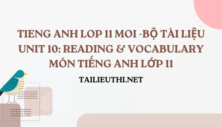 BỘ TÀI LIỆU UNIT 10: READING & VOCABULARY MÔN TIẾNG ANH LỚP 11