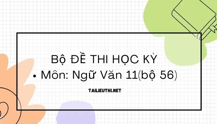 Bộ ĐỀ THI HỌC KỲ  Môn: Ngữ Văn 11(bộ 56) ( đa dạng và chi tiết )...