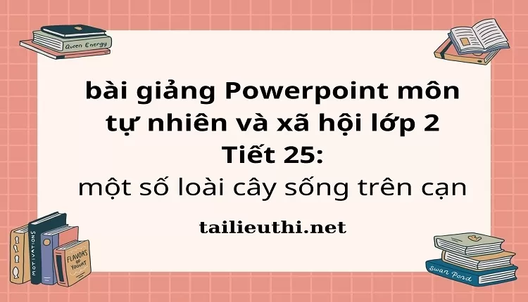 Tiết 25: một số loài cây sống trên cạn