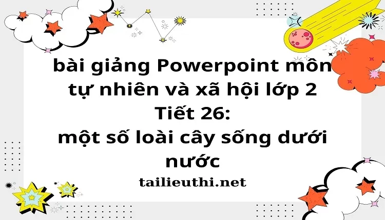 Tiết 26: một số loài cây sống dưới nước