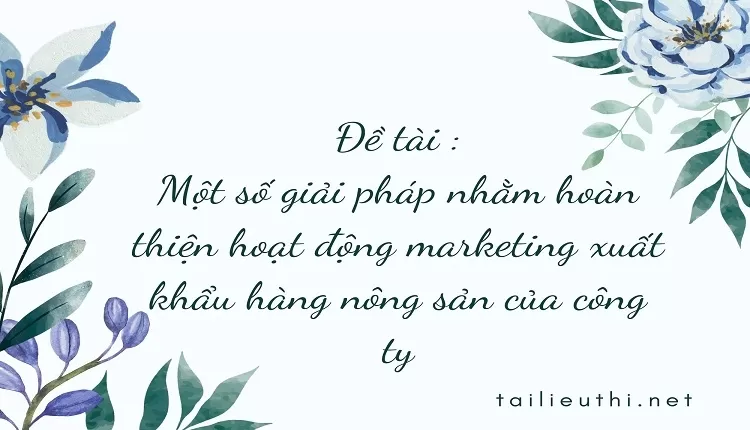 Một số giải pháp nhằm hoàn thiện hoạt động marketing xuất khẩu hàng nông sản của công ty,....