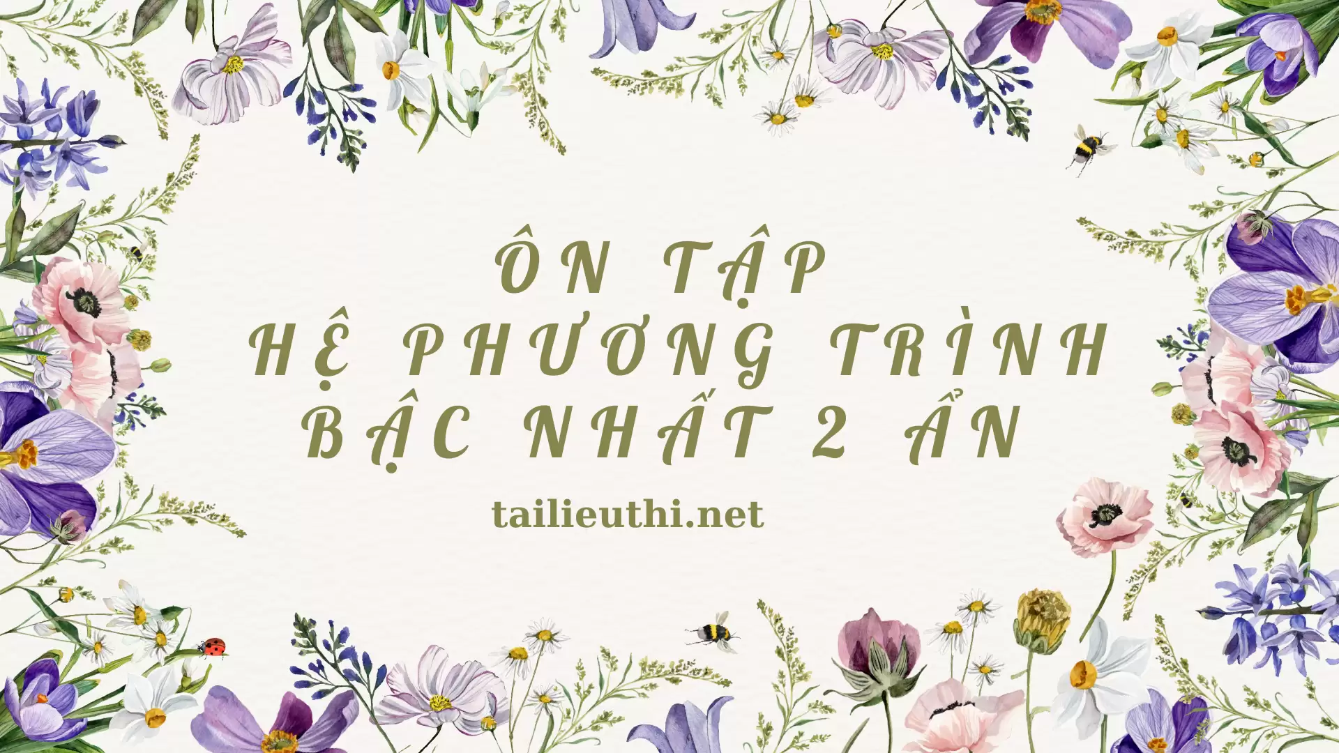 Chuyên đề ôn tập hệ phương trình bậc nhất 2 ẩn (có đáp án)