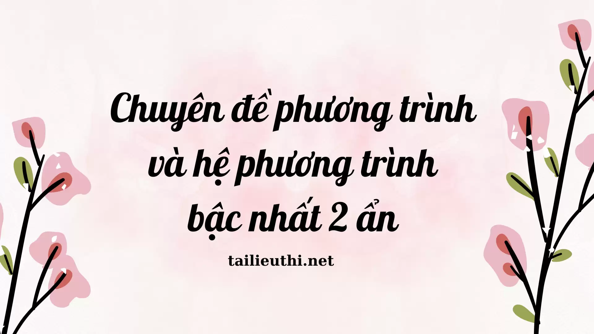 Chuyên đề " Phương trình và hệ phương trình bậc nhất 2 ẩn"