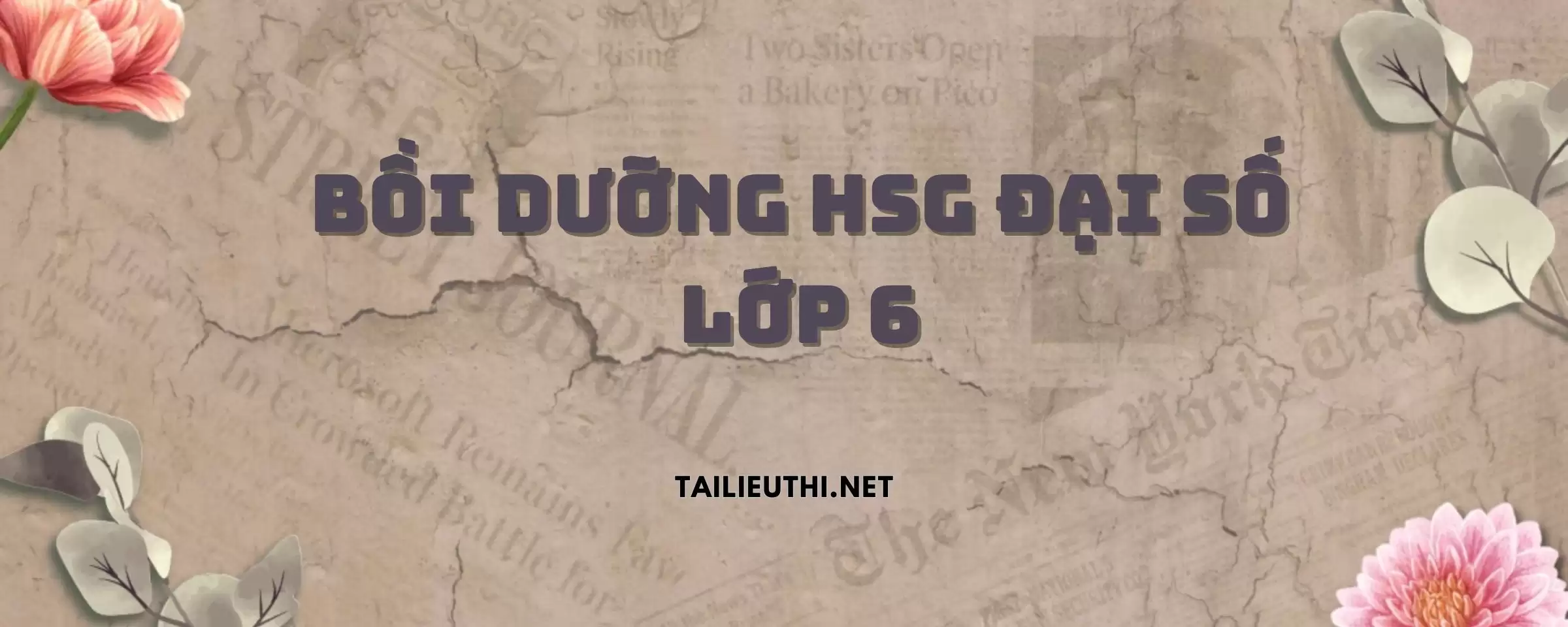 TÀI LIỆU BỒI DƯỠNG HSG ĐẠI SỐ LỚP 6