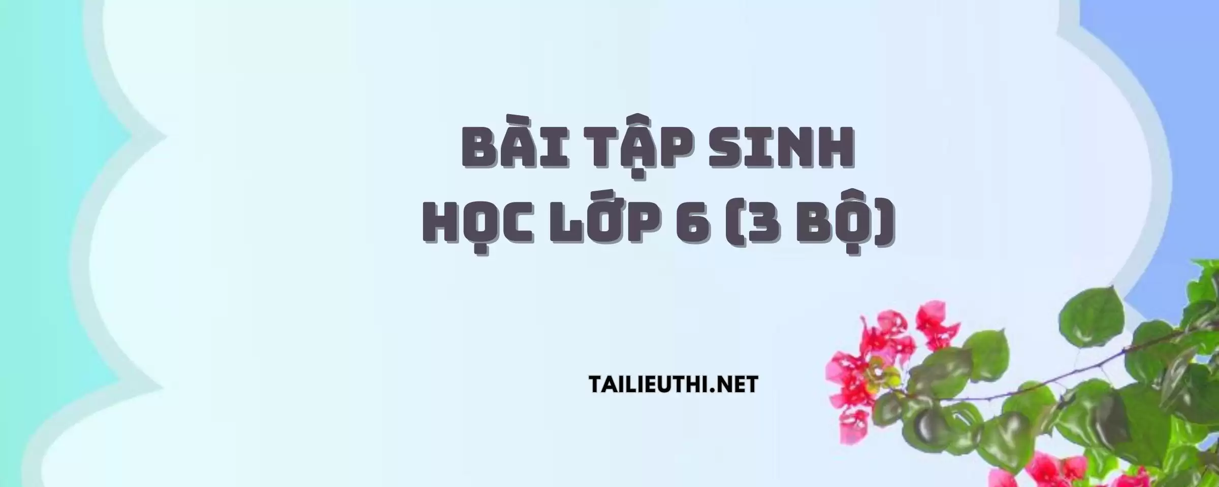 Bài tập sinh học lớp 6 (Ba bộ sách)