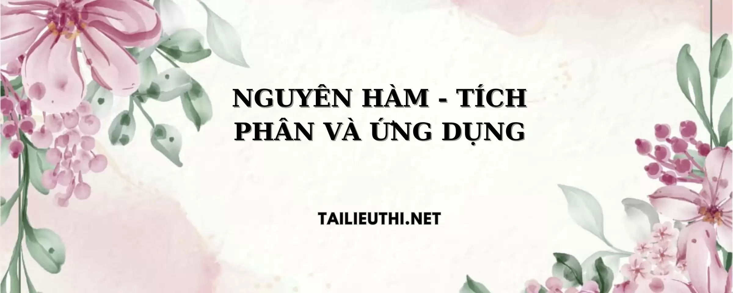 NGUYÊN HÀM - TÍCH PHÂN VÀ ỨNG DỤNG