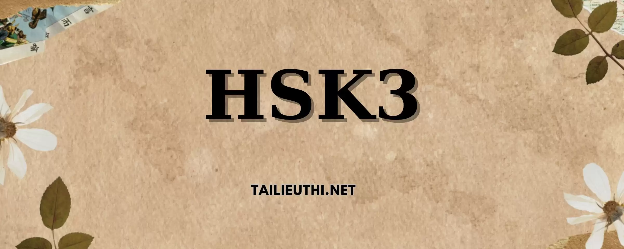 HSK标准教程3