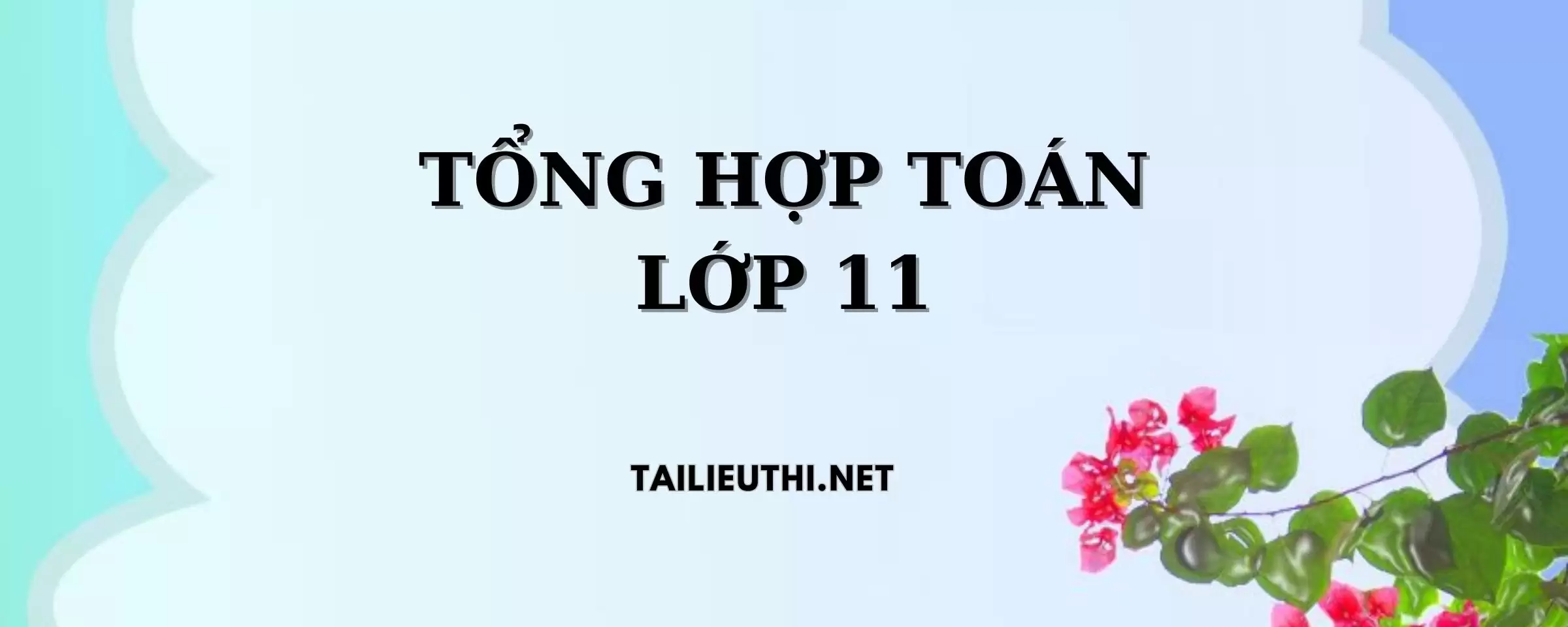 TỔNG HỢP TOÁN LỚP 11