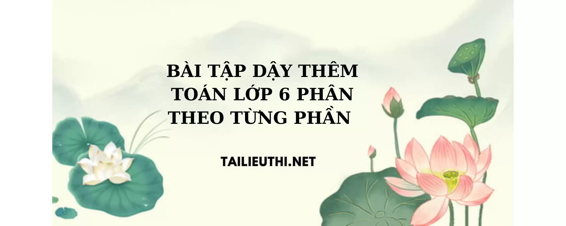 Bài tập dạy thêm toán lớp 6 phan theo từng dạng