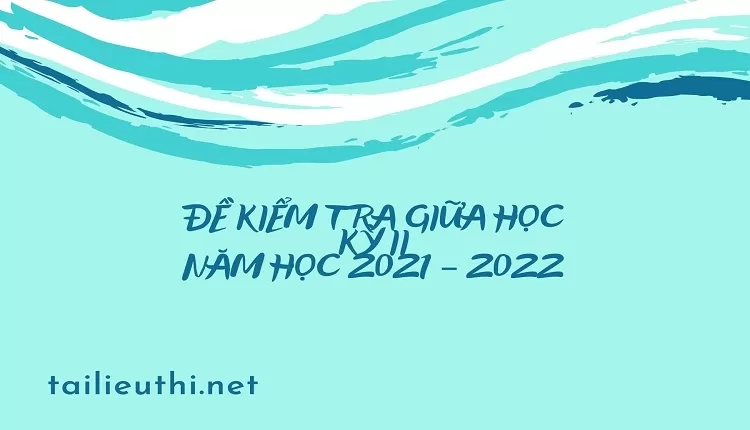 ĐỀ KIỂM TRA GIỮA HỌC KỲ II NĂM HỌC 2021 – 2022