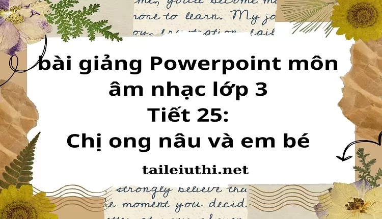 Tiết 25:Chị ong nâu và em bé