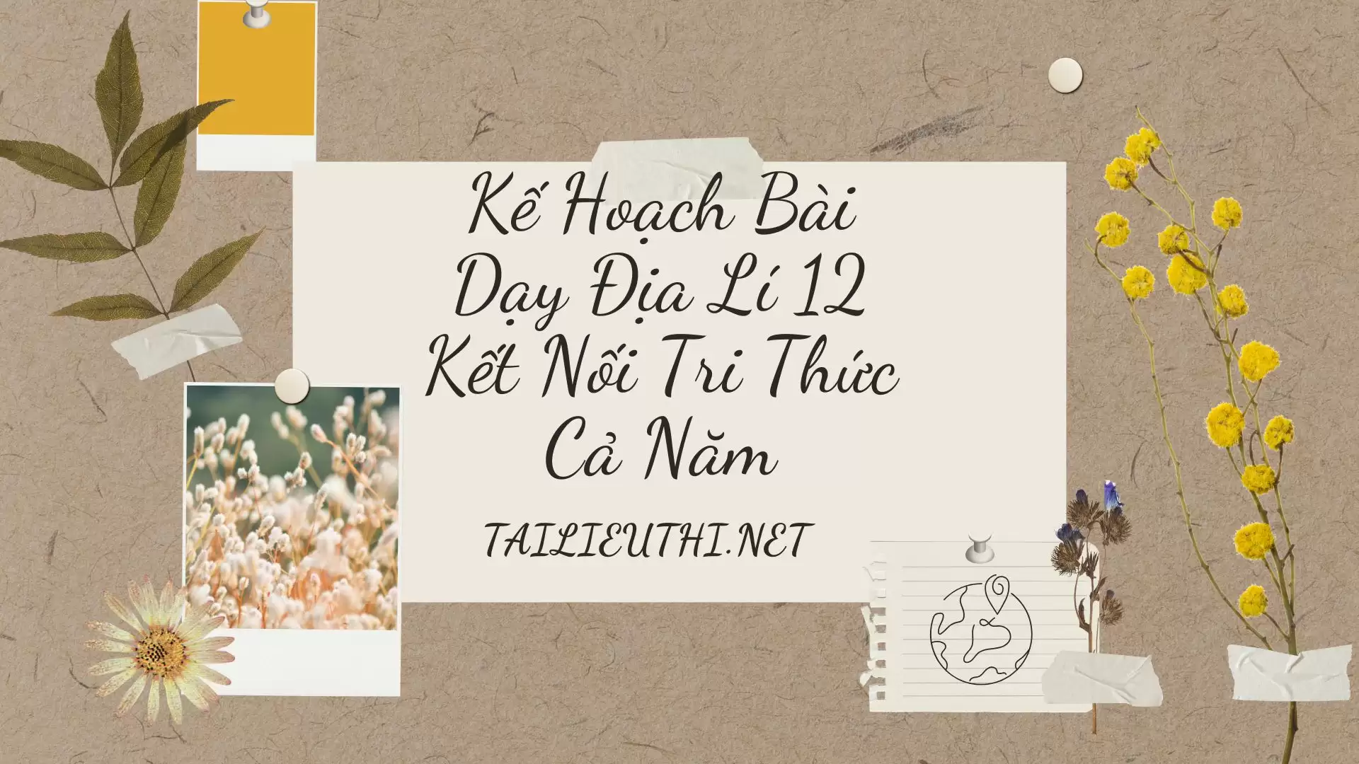 Kế Hoạch Bài Dạy Địa Lí 12 Kết Nối Tri Thức Cả Năm