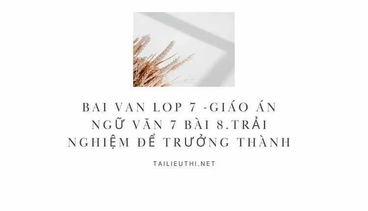 bai van lop 7 -GIÁO ÁN NGỮ VĂN 7 Bài 8.TRẢI NGHIỆM ĐỂ TRƯỞNG THÀNH