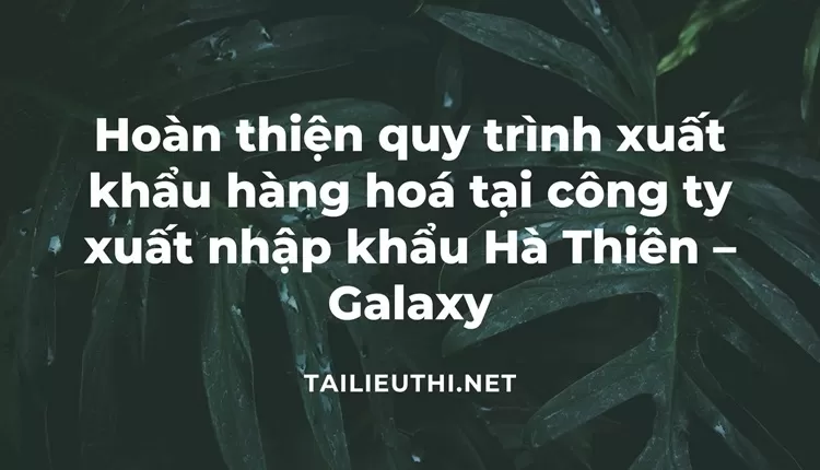 Hoàn thiện quy trình xuất khẩu hàng hoá tại công ty xuất nhập khẩu Hà Thiên – Galaxy