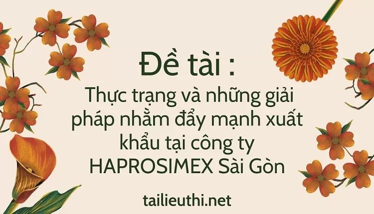 giải pháp nhằm đẩy mạnh xuất khẩu tại công ty HAPROSIMEX Sài Gòn