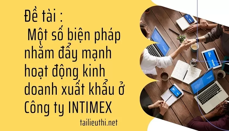 đẩy mạnh hoạt động kinh doanh xuất khẩu ở Công ty INTIMEX