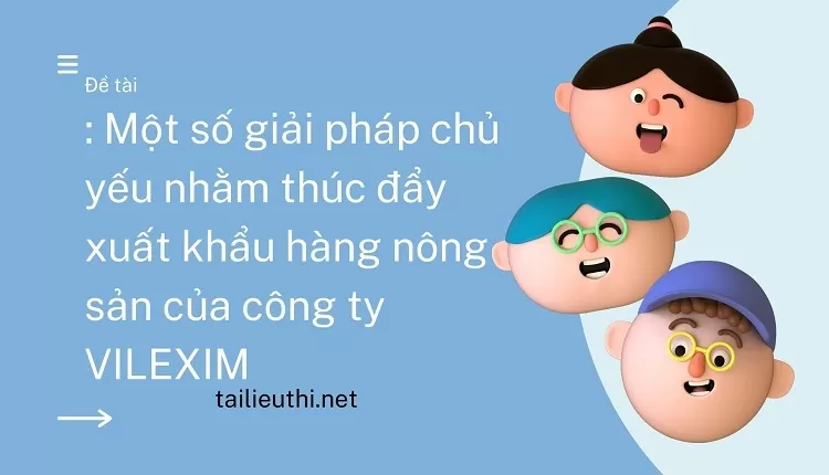 Một số giải pháp chủ yếu  nhằm thúc đẩy xuất khẩu hàng nông sản của công ty VILEXIM