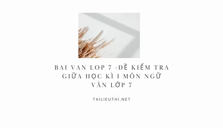 bai van lop 7 -ĐỀ KIỂM TRA GIỮA HỌC KÌ I Môn Ngữ văn lớp 7