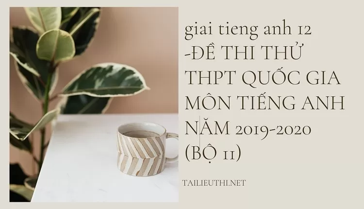 ĐỀ THI THỬ THPT QUỐC GIA MÔN TIẾNG ANH NĂM 2019-2020 (BỘ 11)