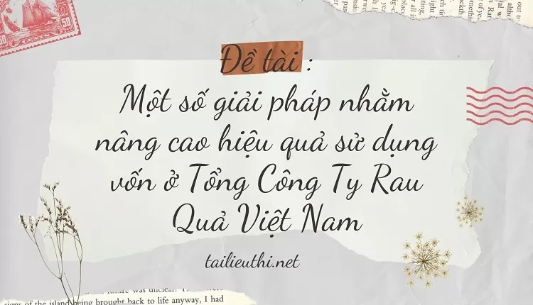 Một số giải pháp nhằm nâng cao hiệu quả sử dụng vốn ở Tổng Công Ty Rau Quả Việt Nam....