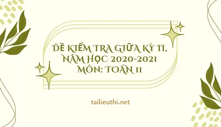 ĐỀ KIỂM TRA GIỮA KỲ II, NĂM HỌC 2020-2021 Môn: TOÁN 11...