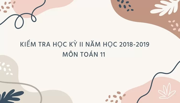 KIỂM TRA HỌC KỲ II NĂM HỌC 2018-2019 Môn: TOÁN – Lớp 11(có đáp án)...