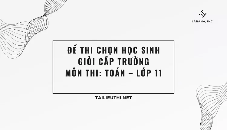 ĐỀ THI CHỌN HỌC SINH GIỎI CẤP TRƯỜNG Môn thi: Toán – Lớp 11(đề ôn tập )