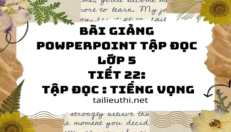 Tập đọc : Tiếng vọng