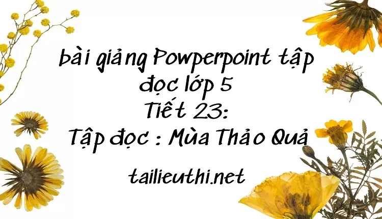 Tiết 23:Tập đọc : Mùa Thảo Quả