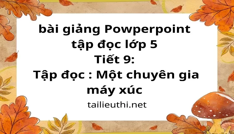 Một chuyên gia máy xúc